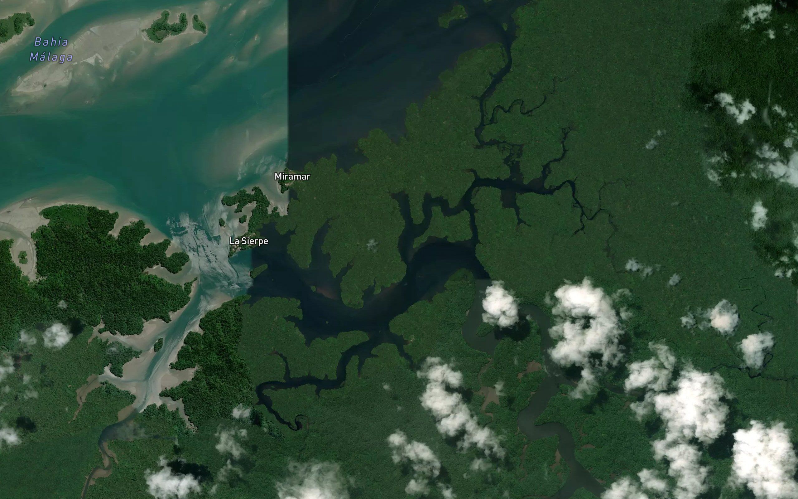 Estero Tamayo