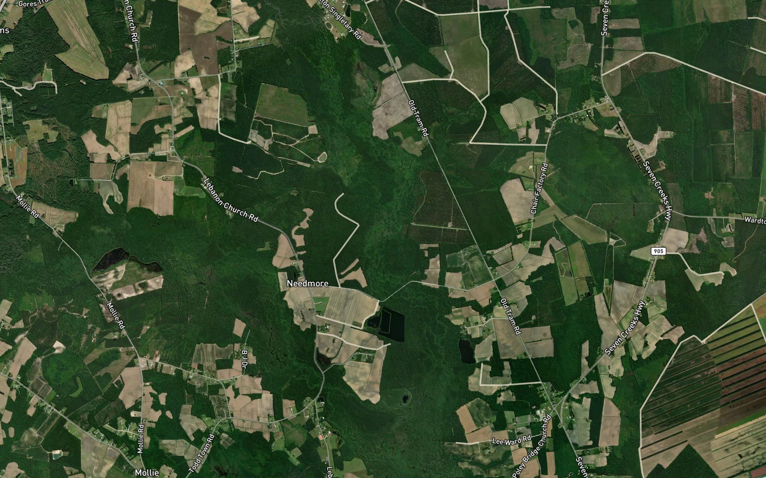 Beaver Dam Swamp