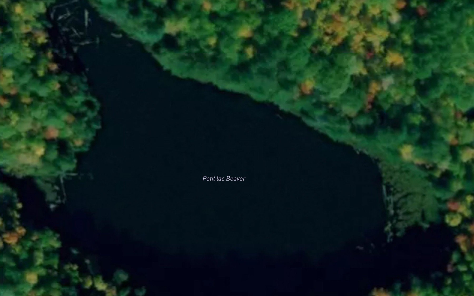 Satellite map of the Petit lac Beaver
