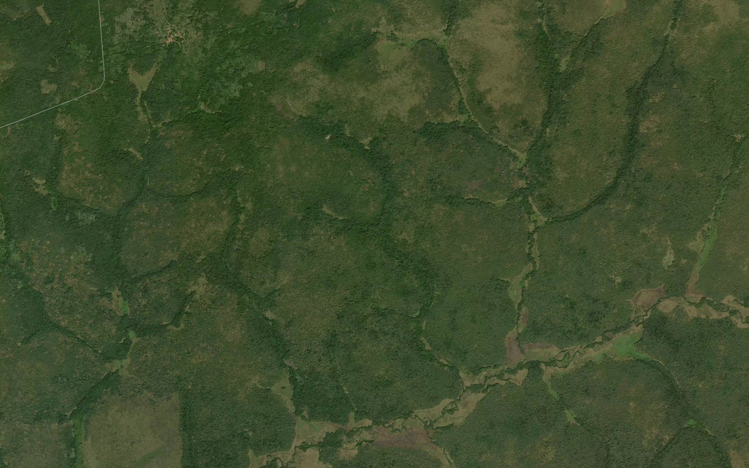Nazukubele