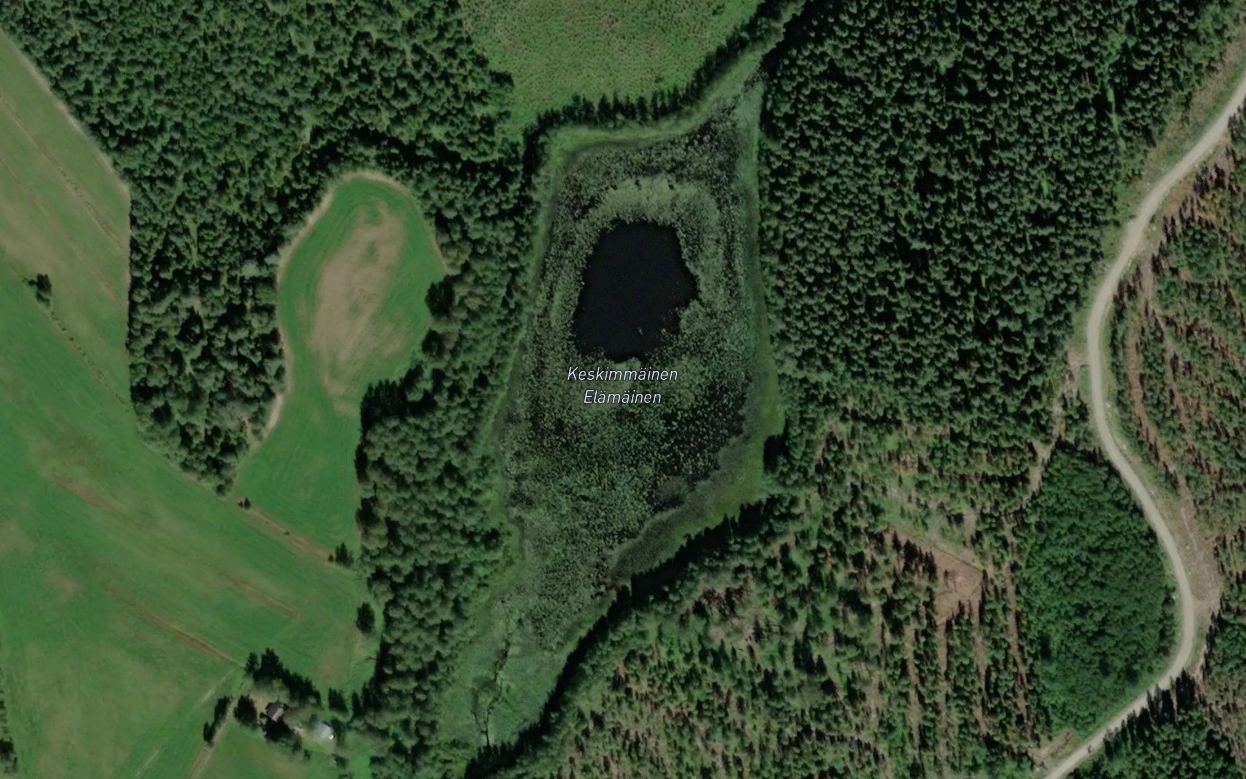 Keskimmainen-Elamainen