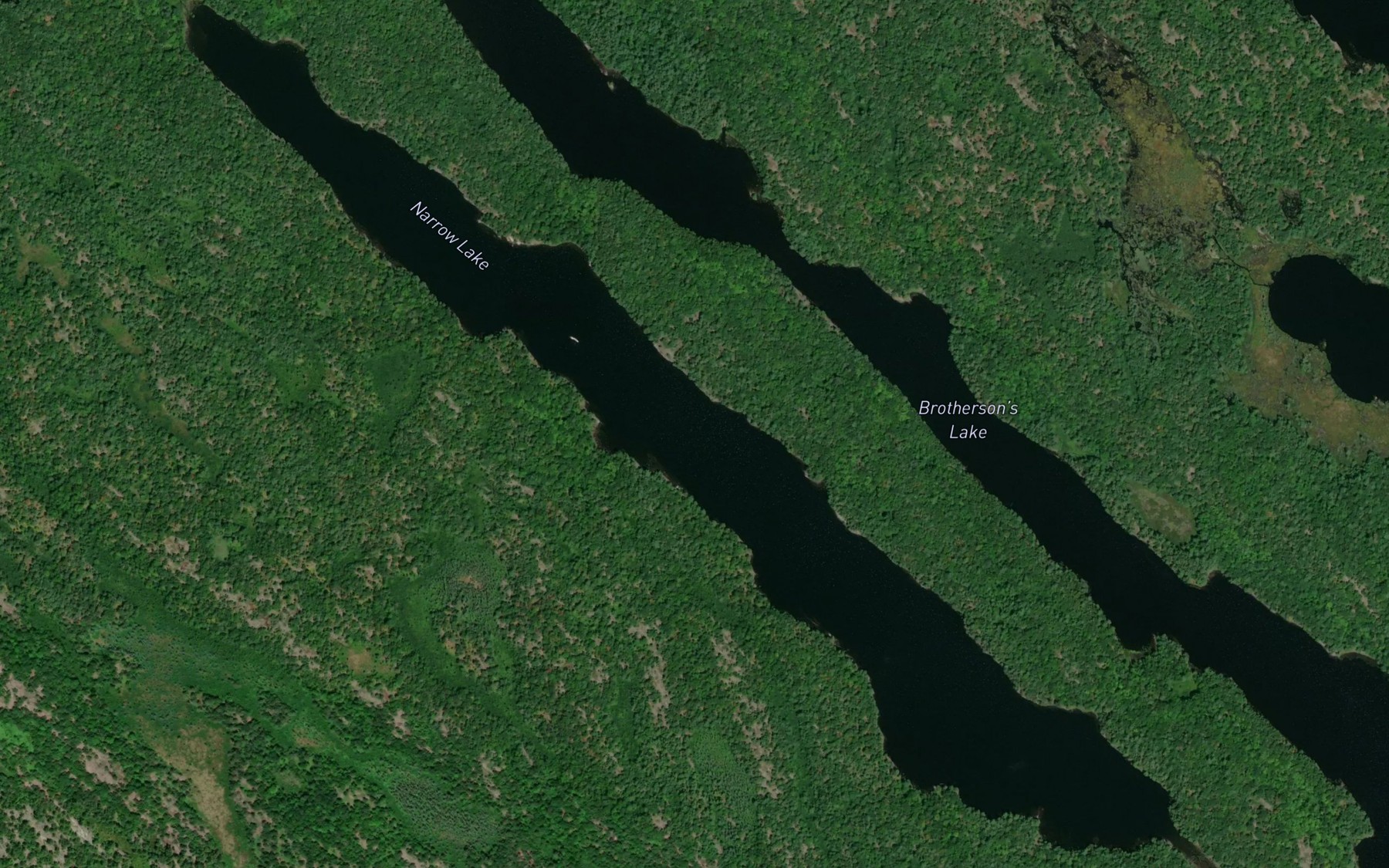 Satellite map of the Narrow Lake