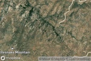 Pinon Spring