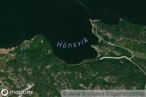 Honsvik