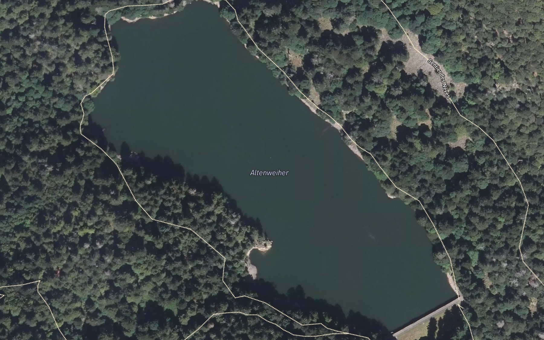 Satellite map of the lac de l'Altenweiher