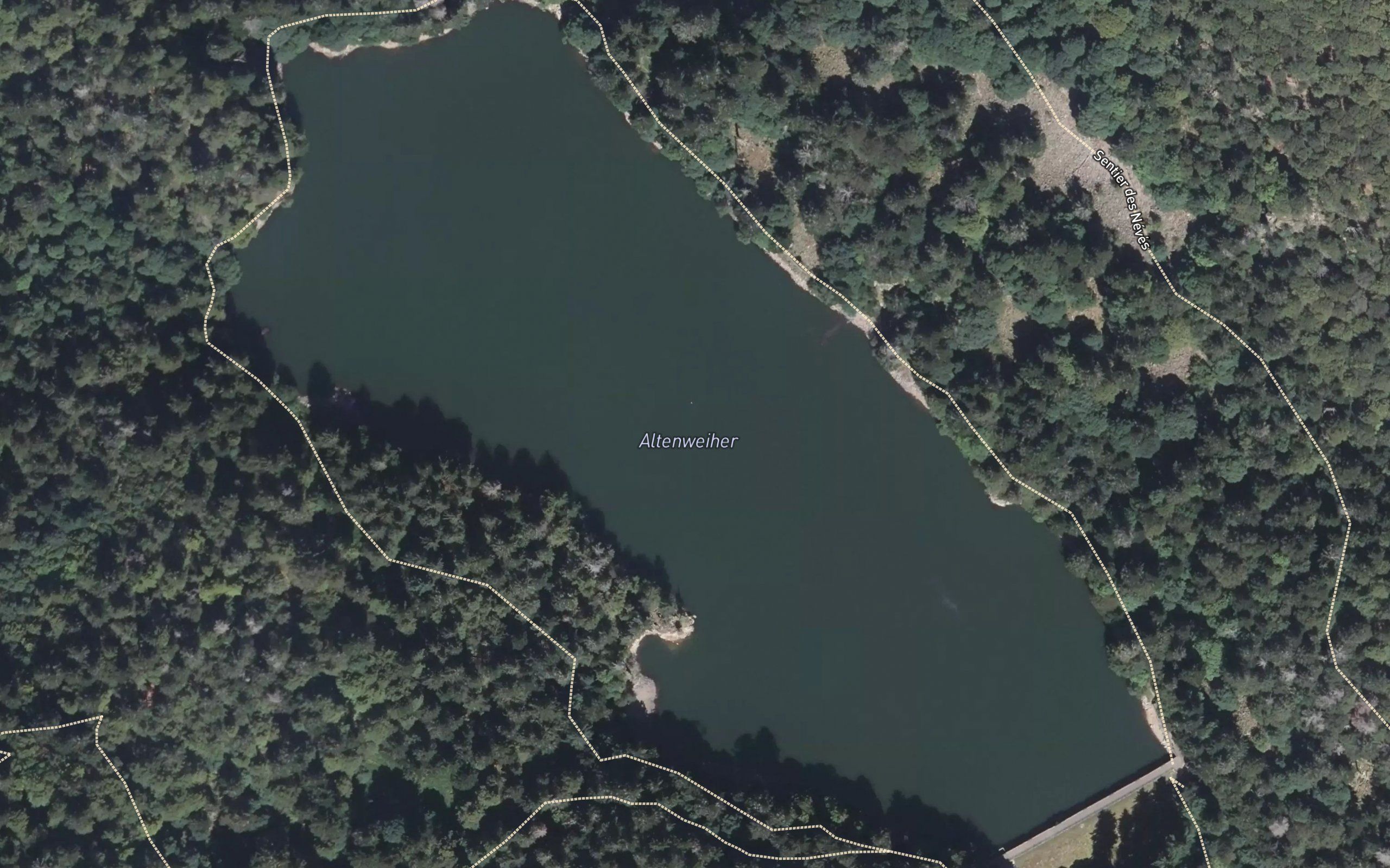 lac de l'Altenweiher