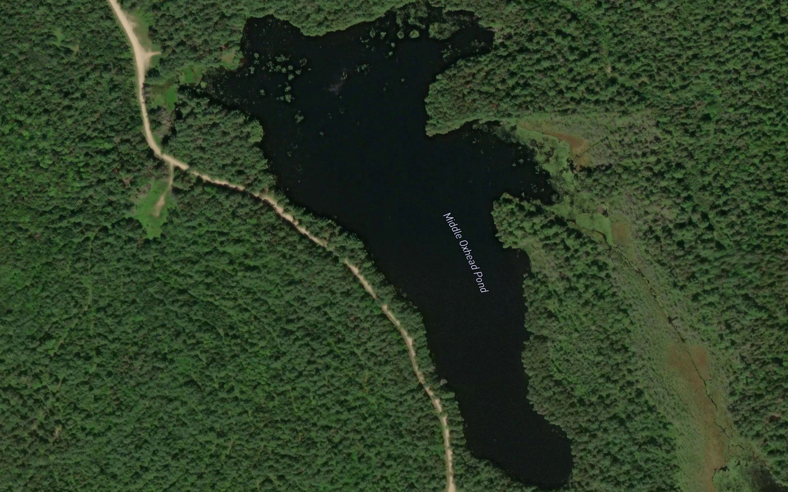 Middle Oxhead Pond