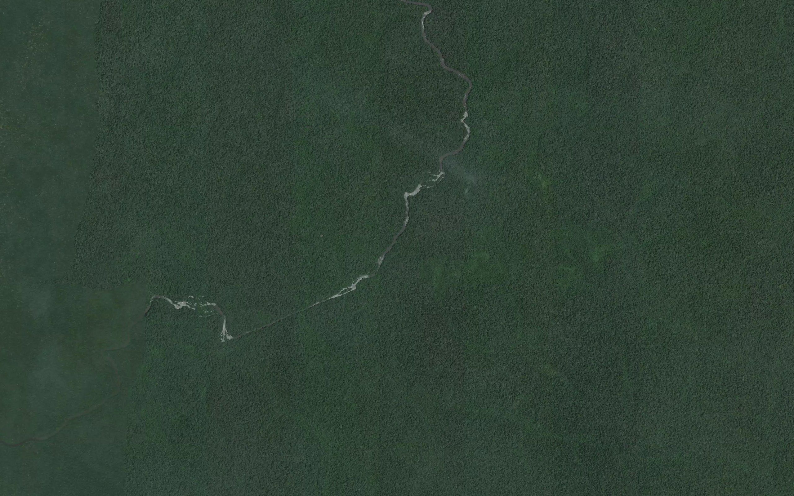 Longiki