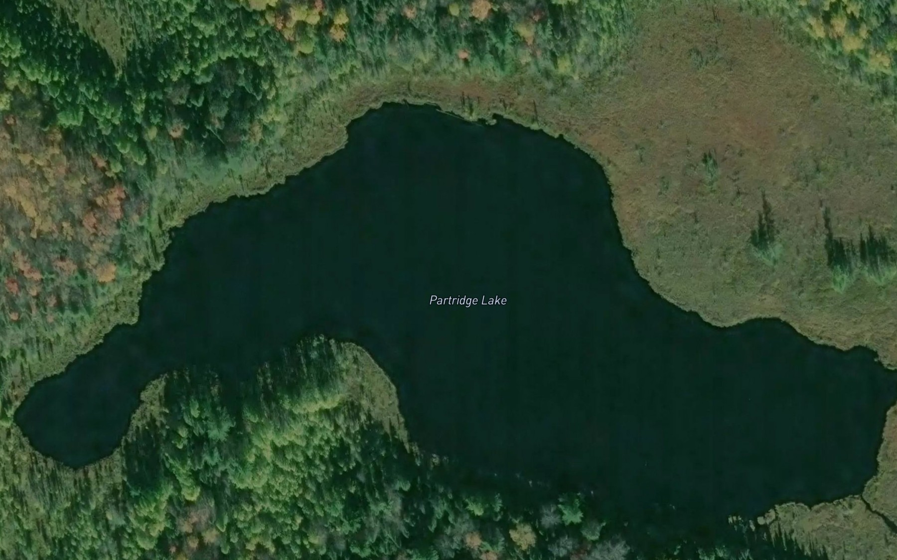 Satellite map of the Partridge Lake