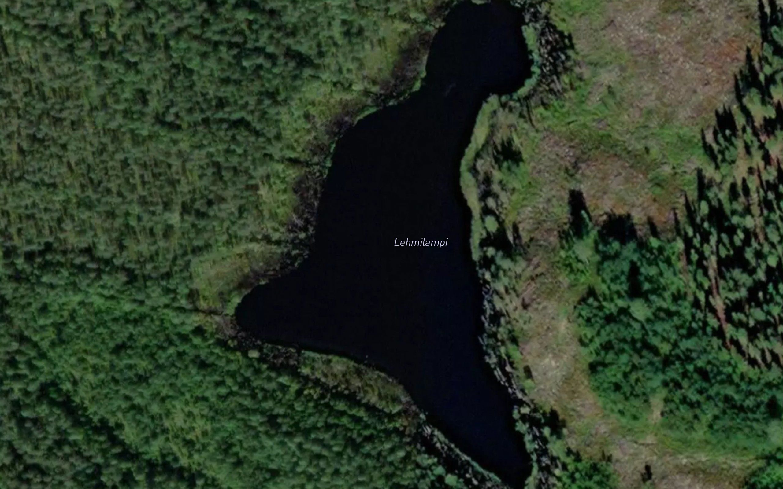 Lehmilampi