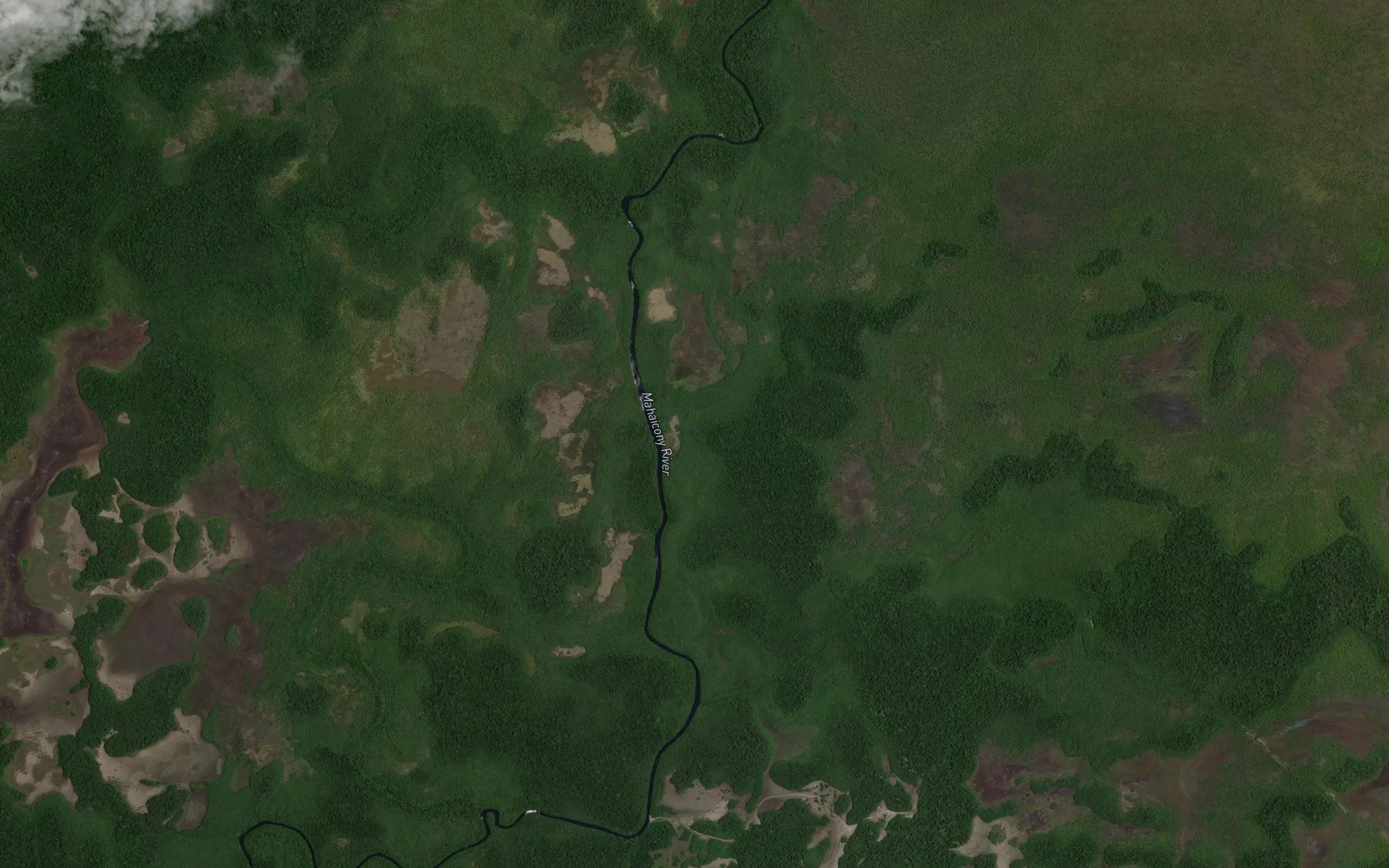 Bush Cow Long Corner