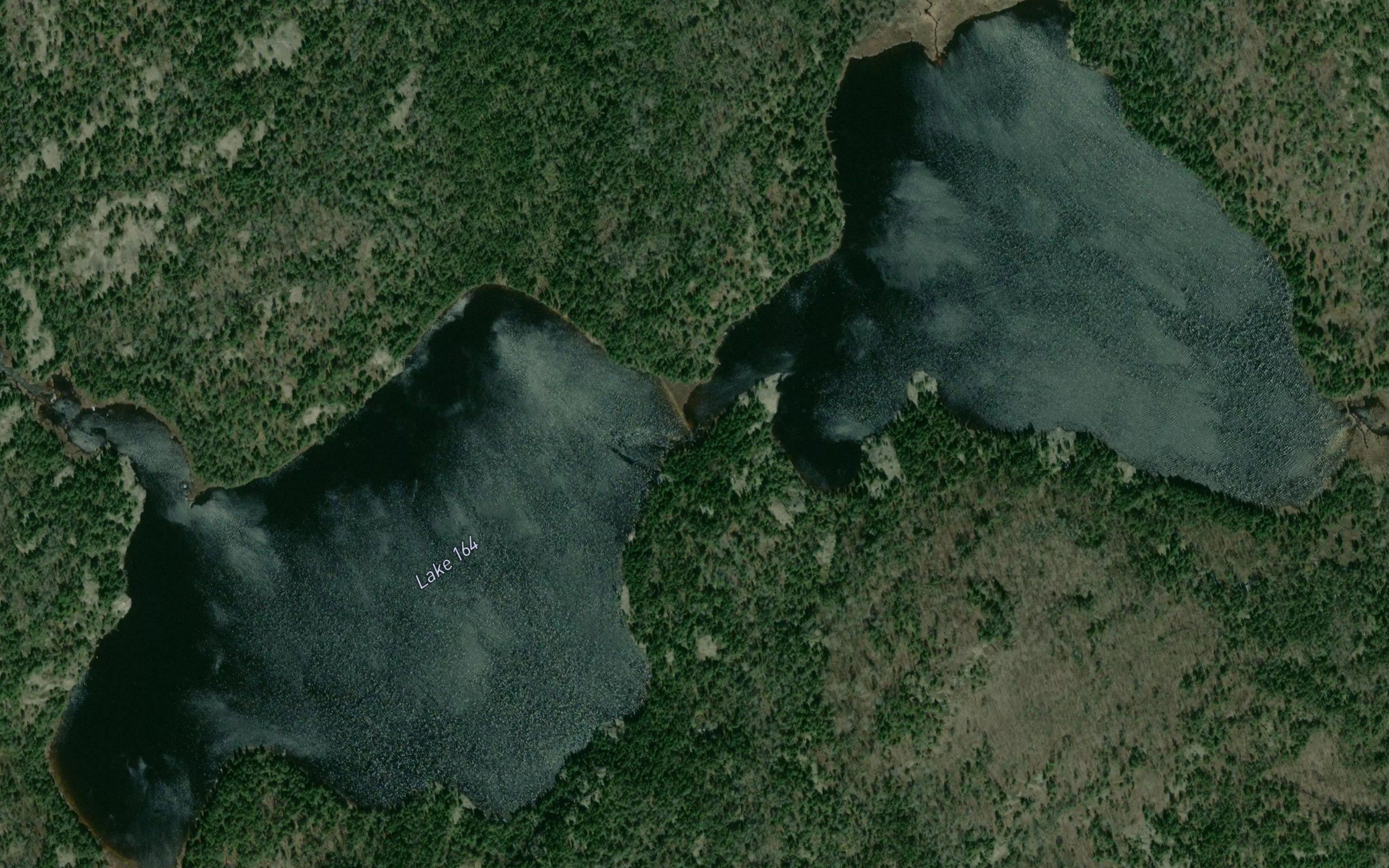 Wasp Lake