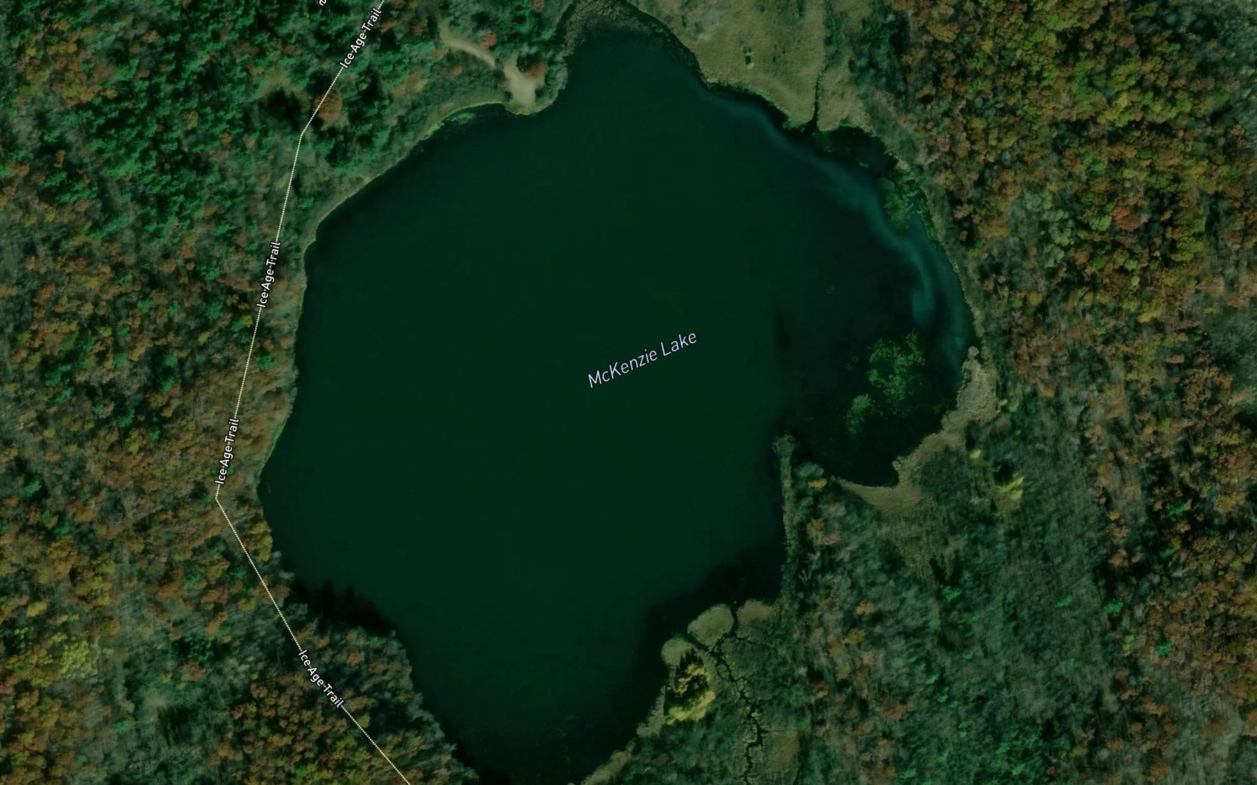 Satellite map of the McKenzie Lake