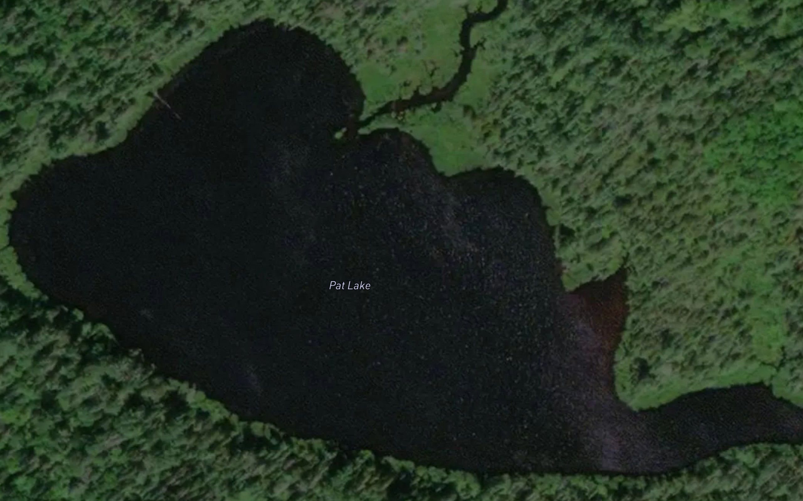 Pat Lake