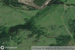 Grayling Creek