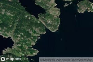 Hagevika