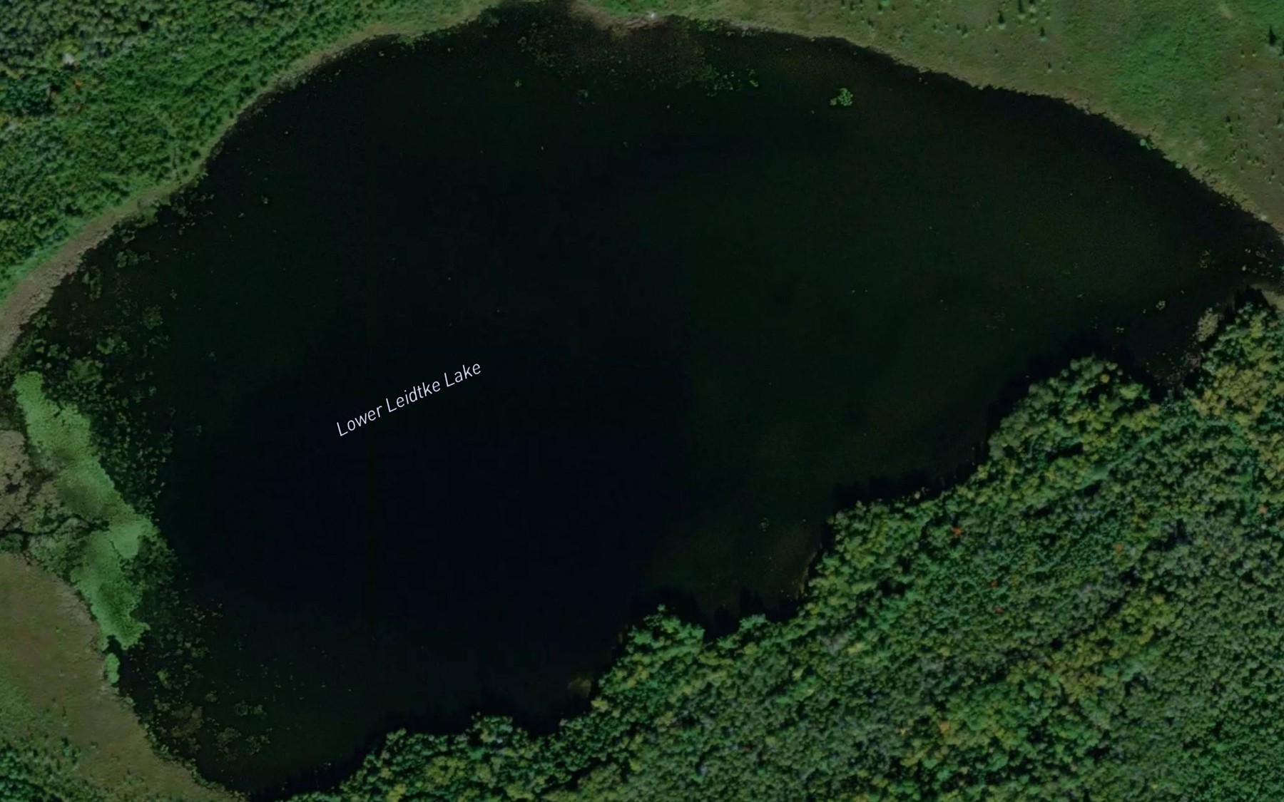Satellite map of the Lower Leidtke Lake