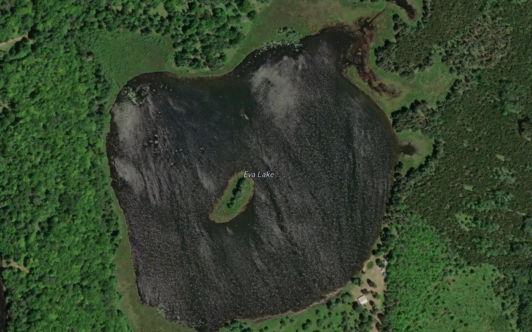 Satellite map of the Eva Lake