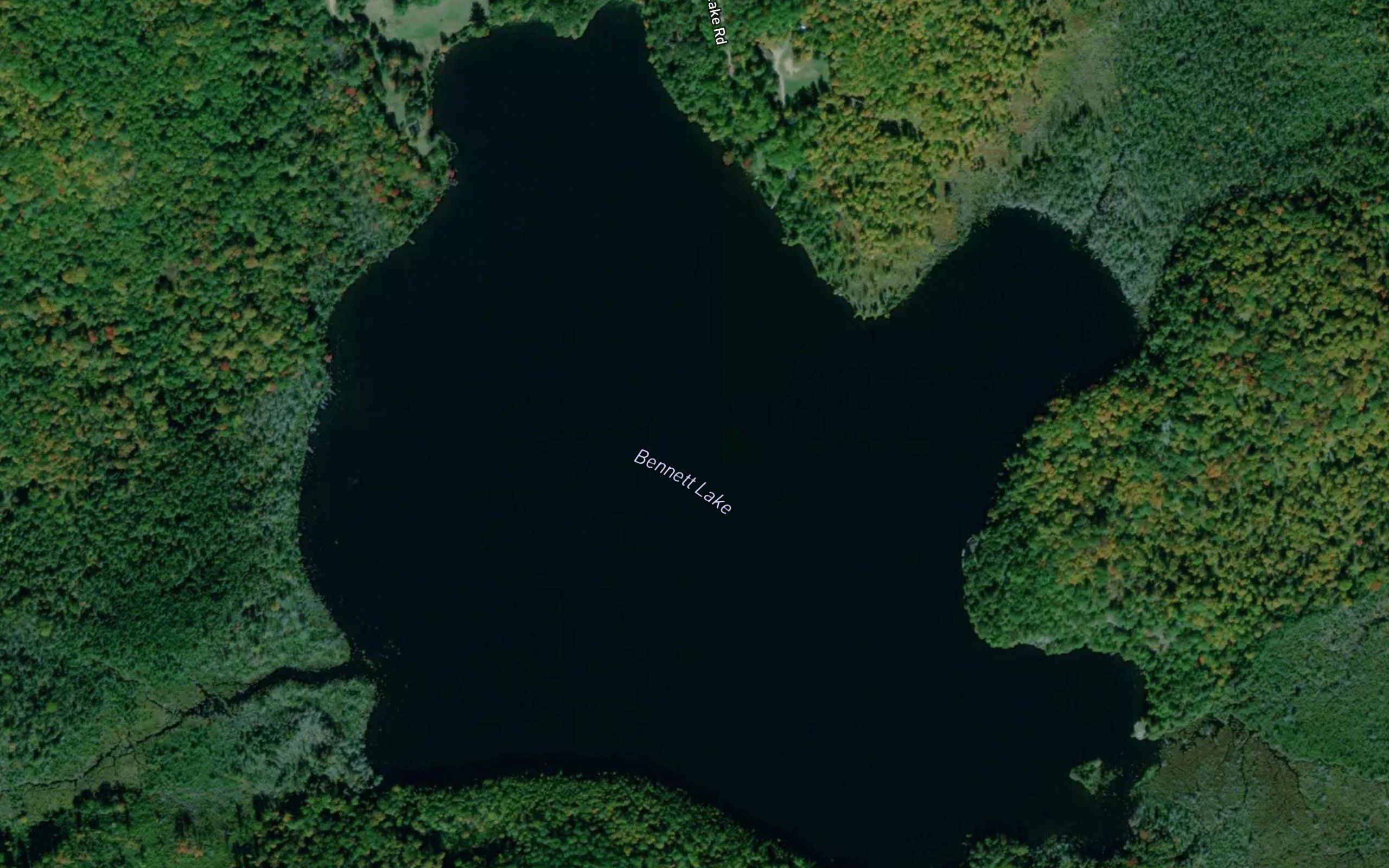 Bennett Lake
