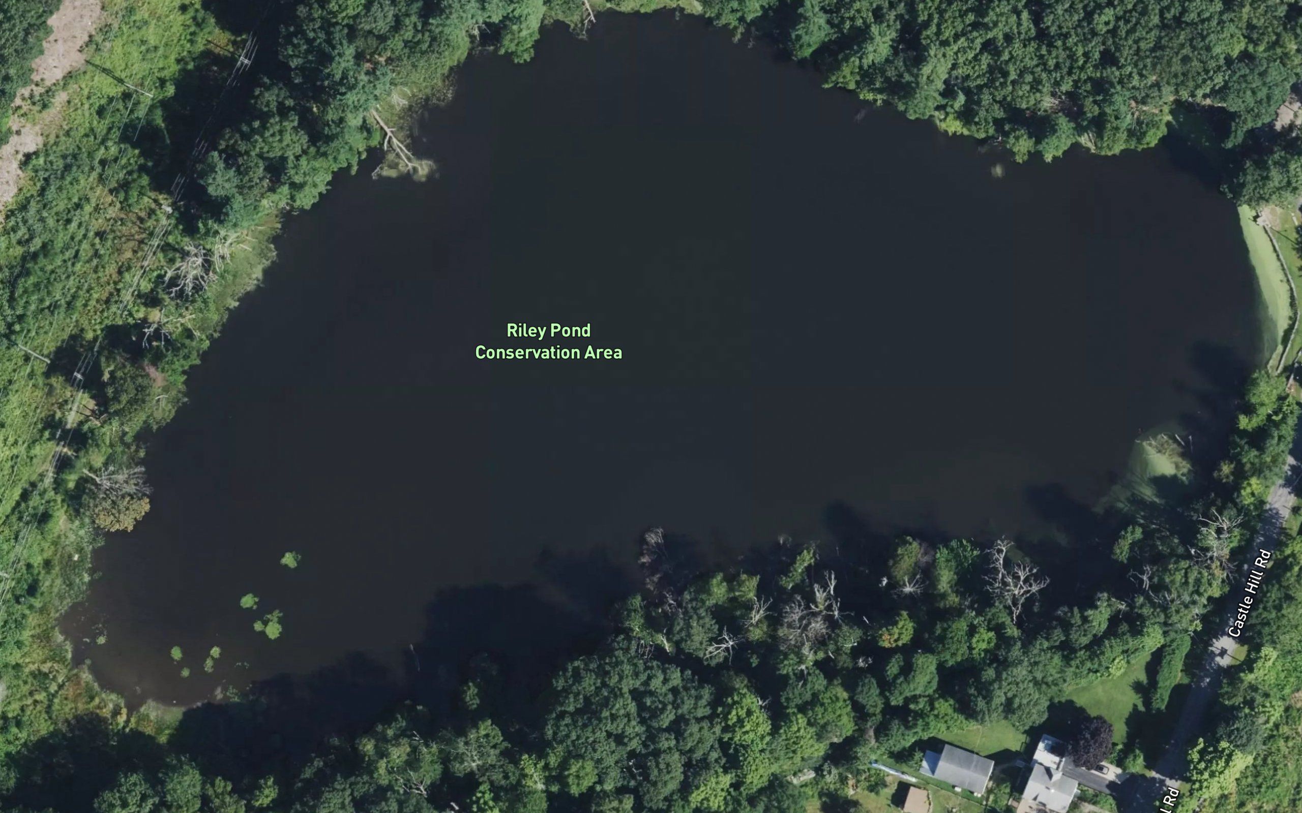 Riley Pond