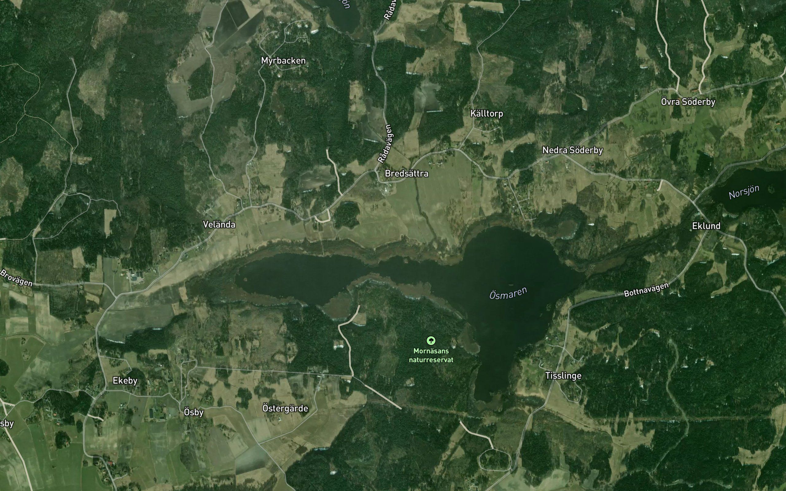 Osmarn