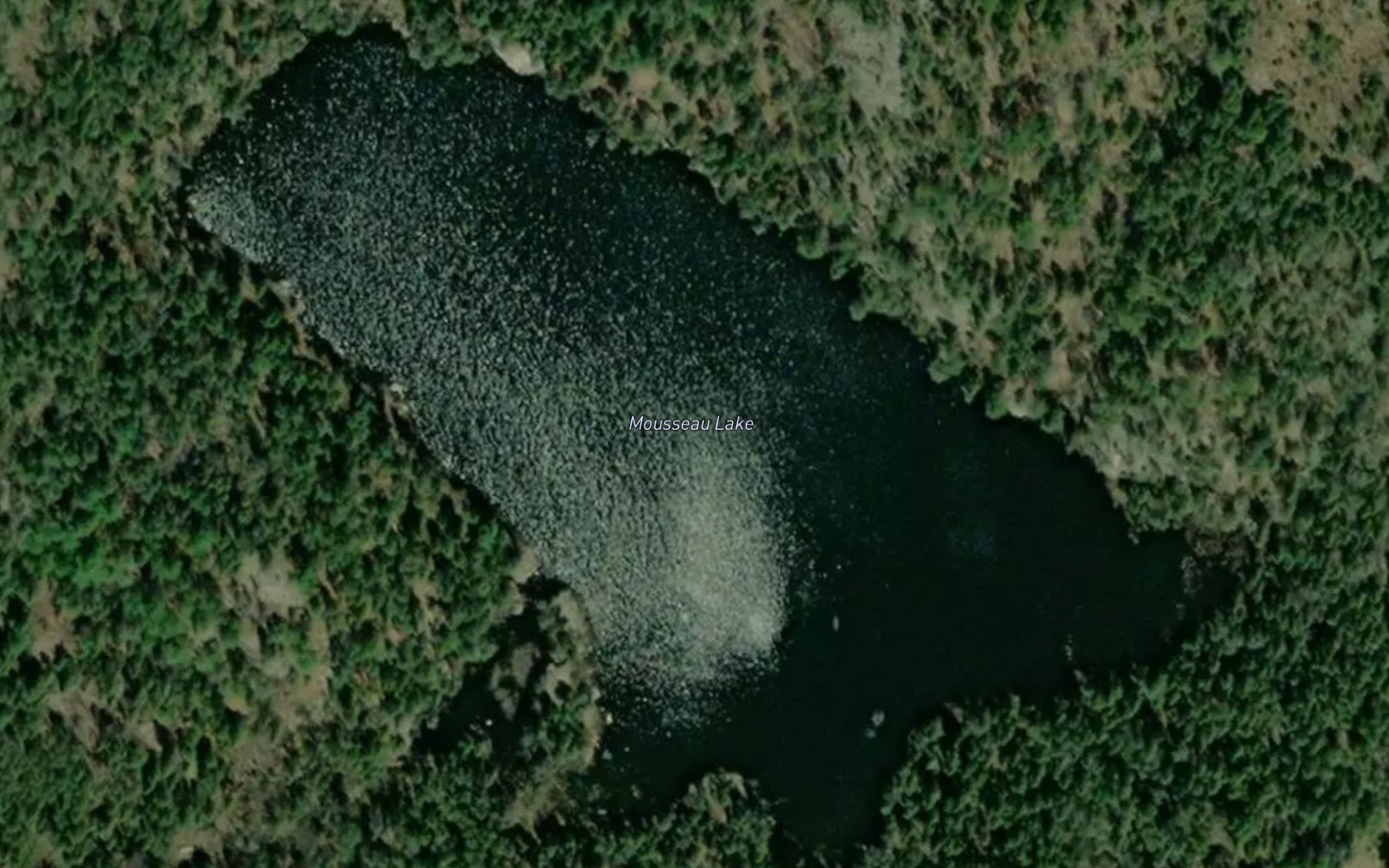 Satellite map of the Mousseau Lake