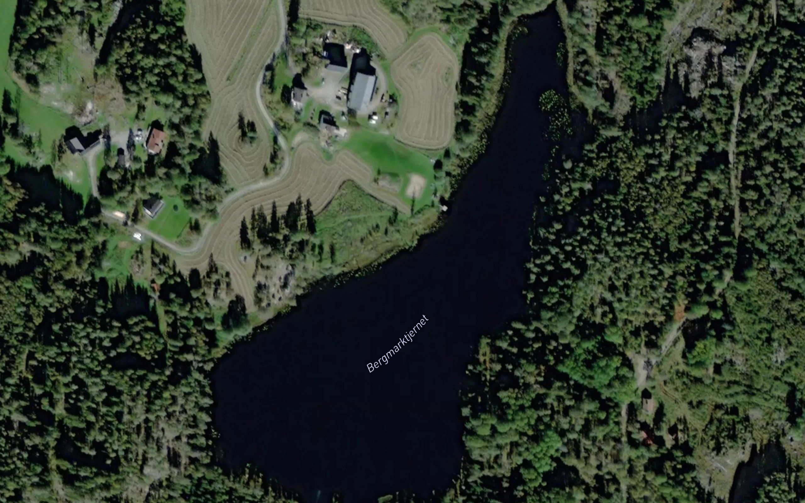 Bergsmarktjern
