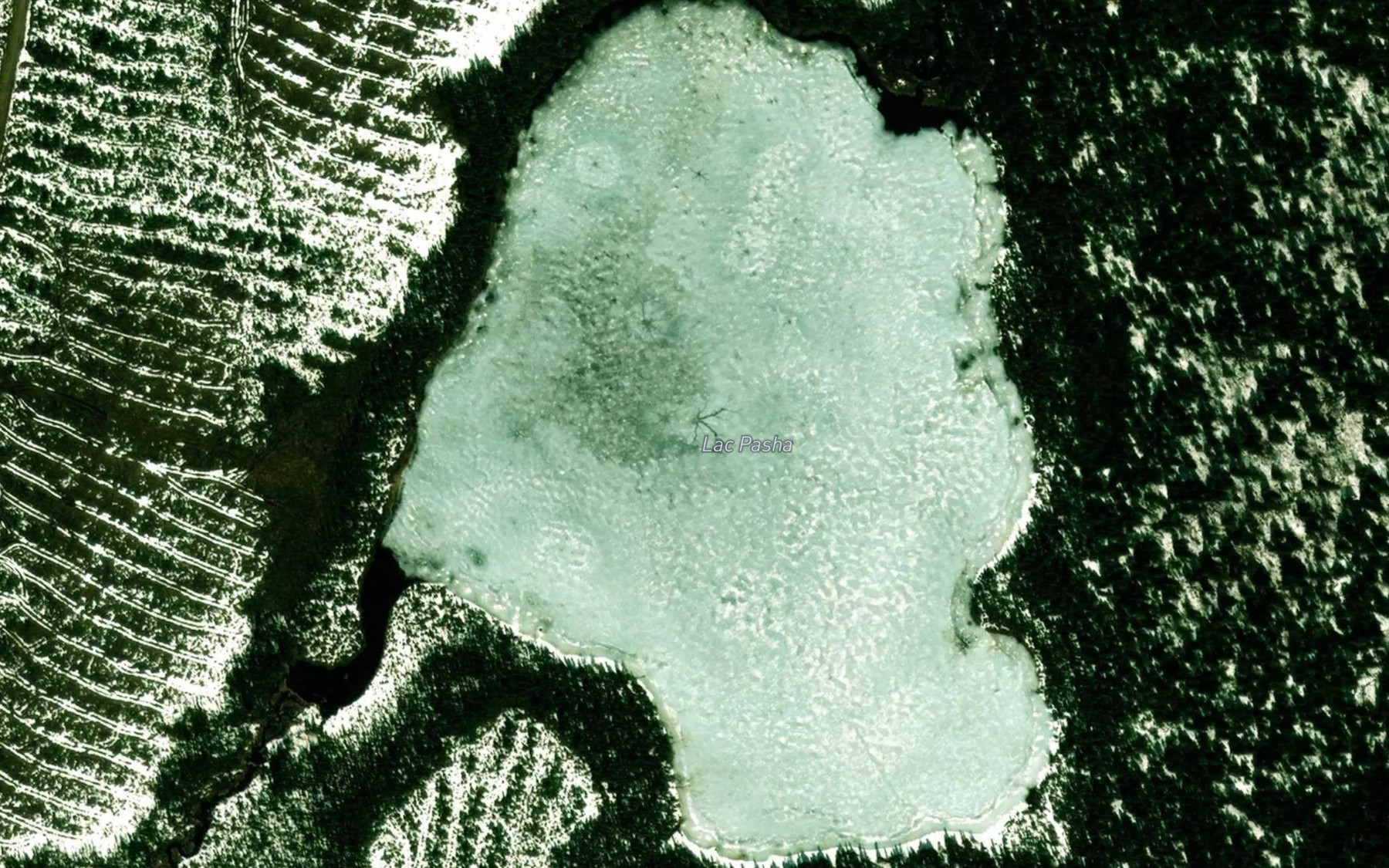 Satellite map of the Lac Pasha