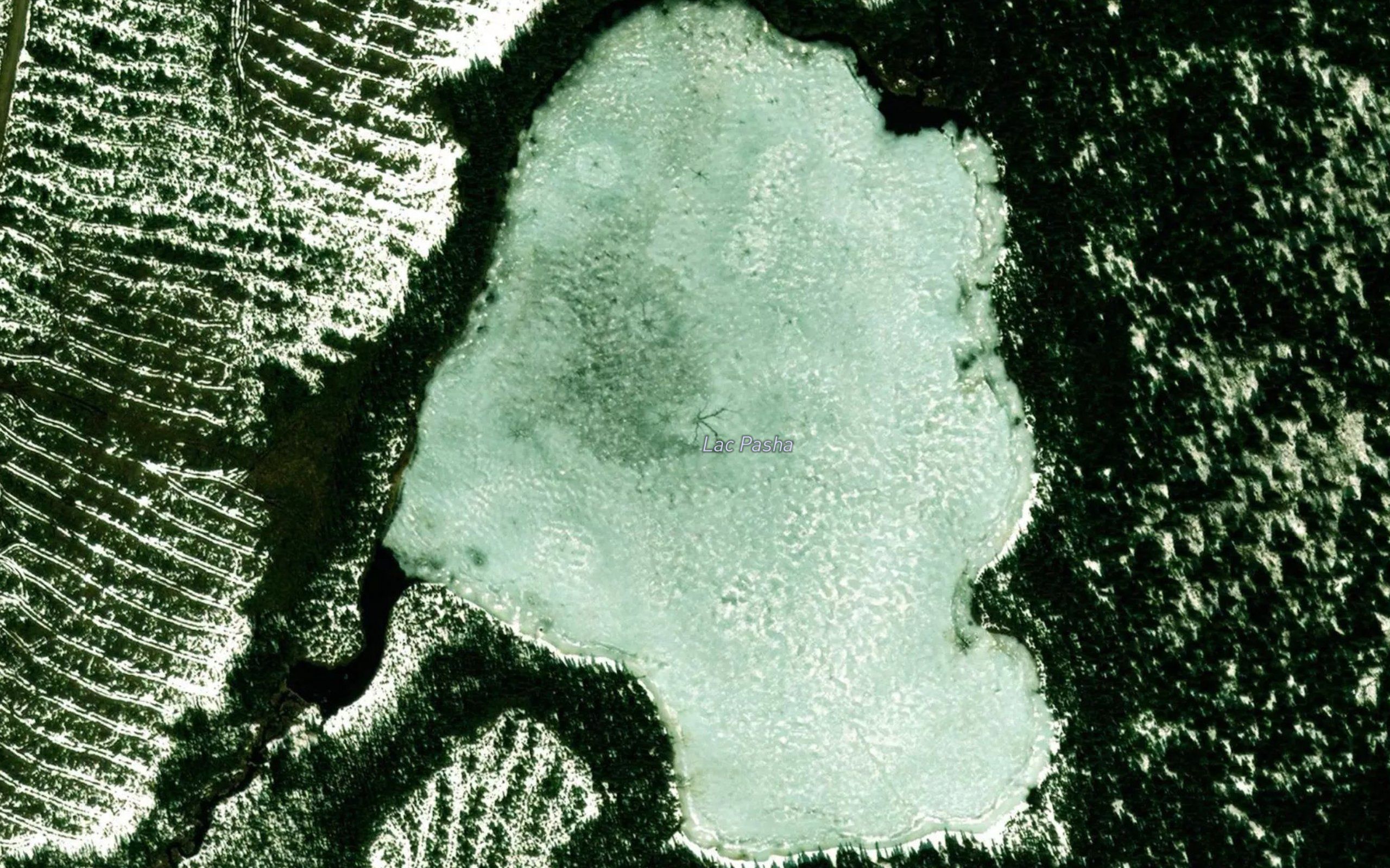 Lac Pasha
