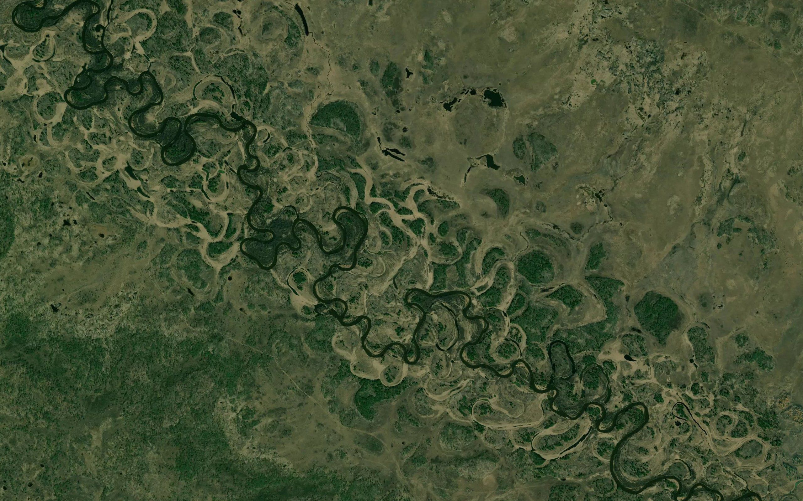 Dzholtula