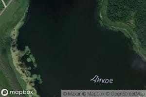 Ozero Dikoye