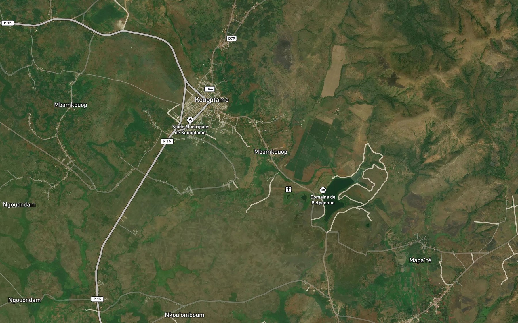 Satellite map of the Panzi