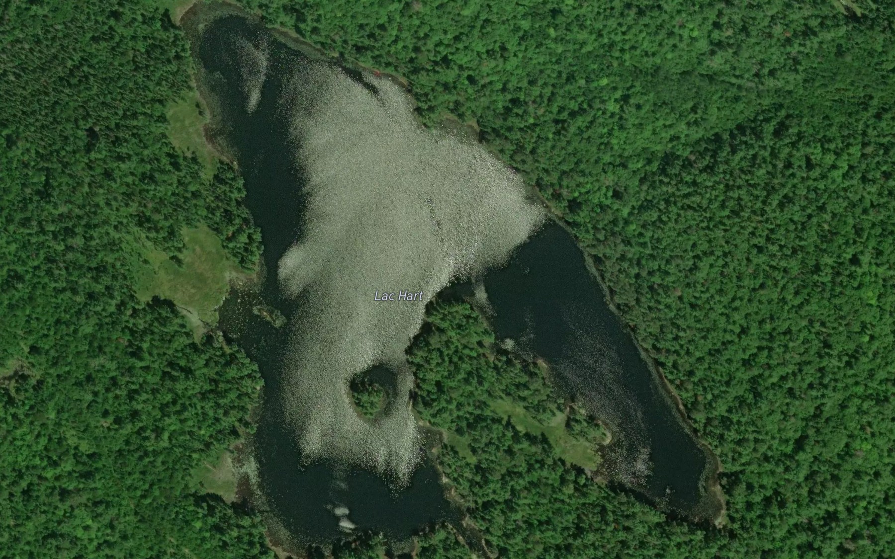 Satellite map of the Lac Hart