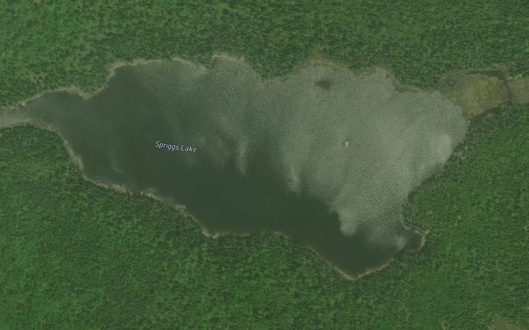 Satellite map of the Spriggs Lake