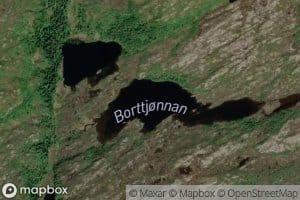 Borttjonnin