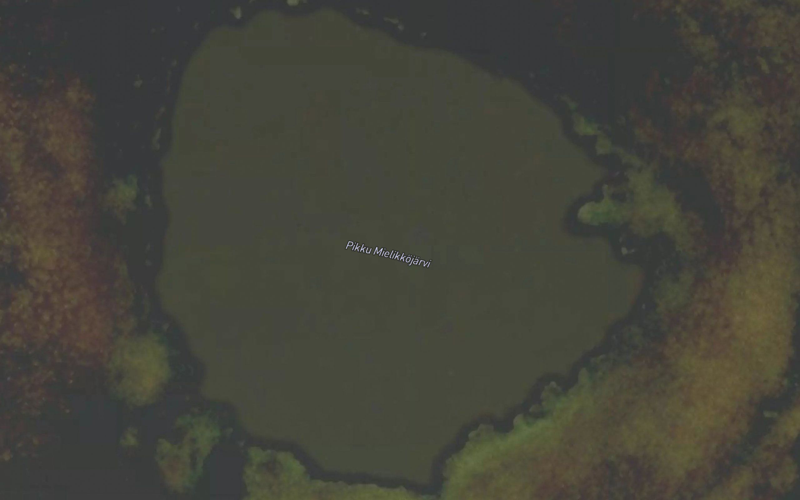 Mielahjaavras