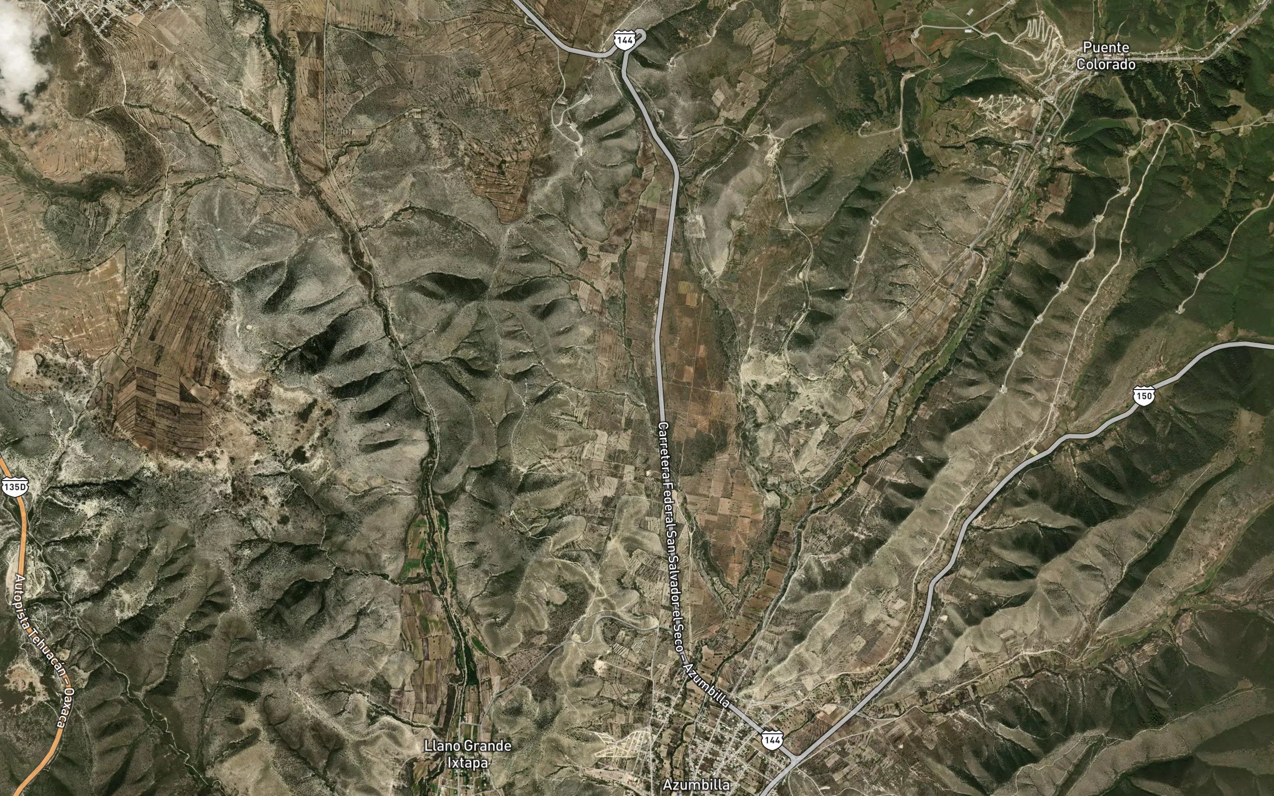 Rincon Coyote
