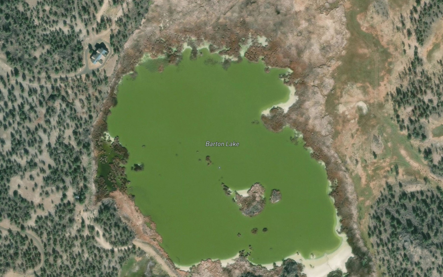 Satellite map of the Barton Lake