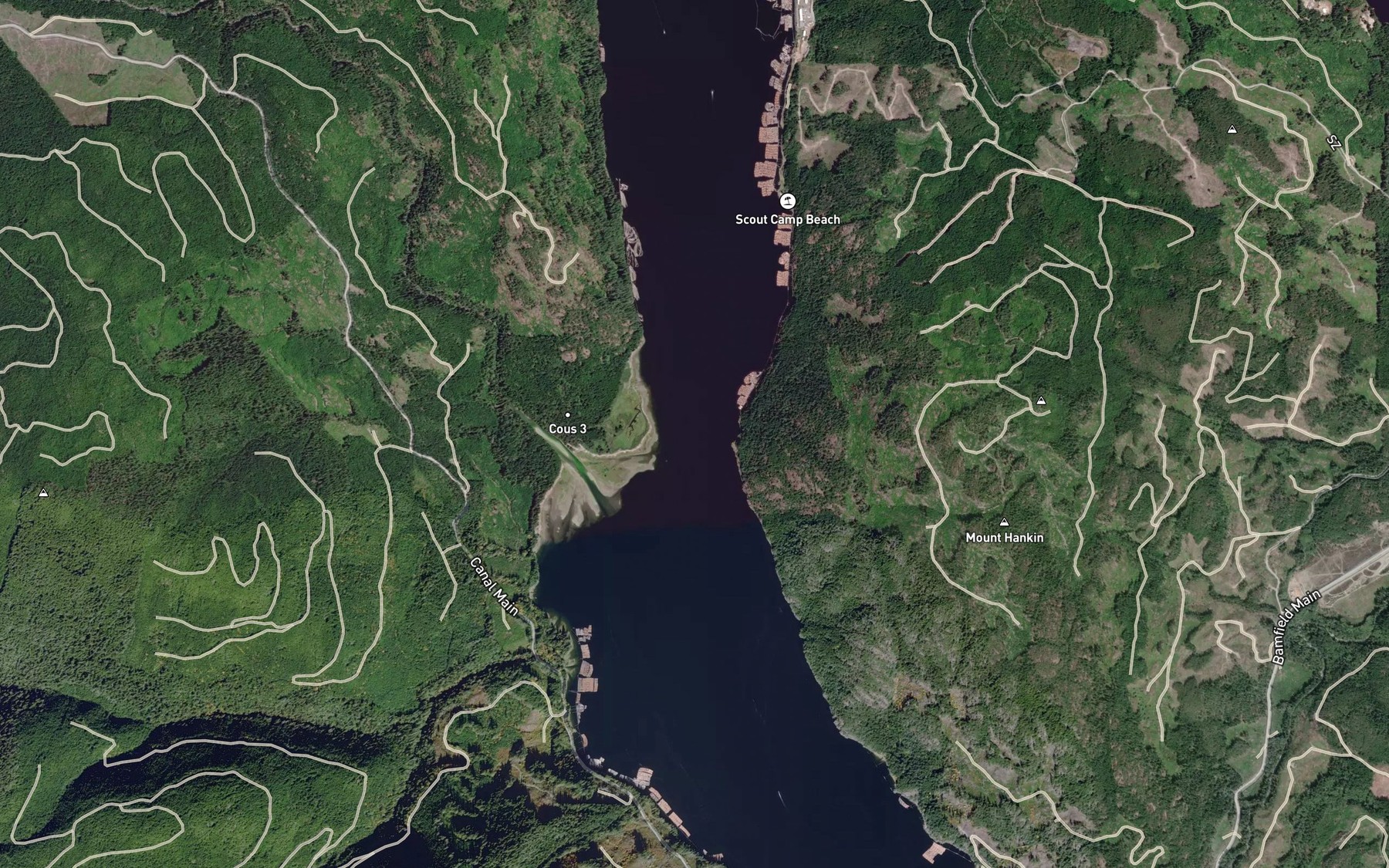 Satellite map of the Stamp Narrows