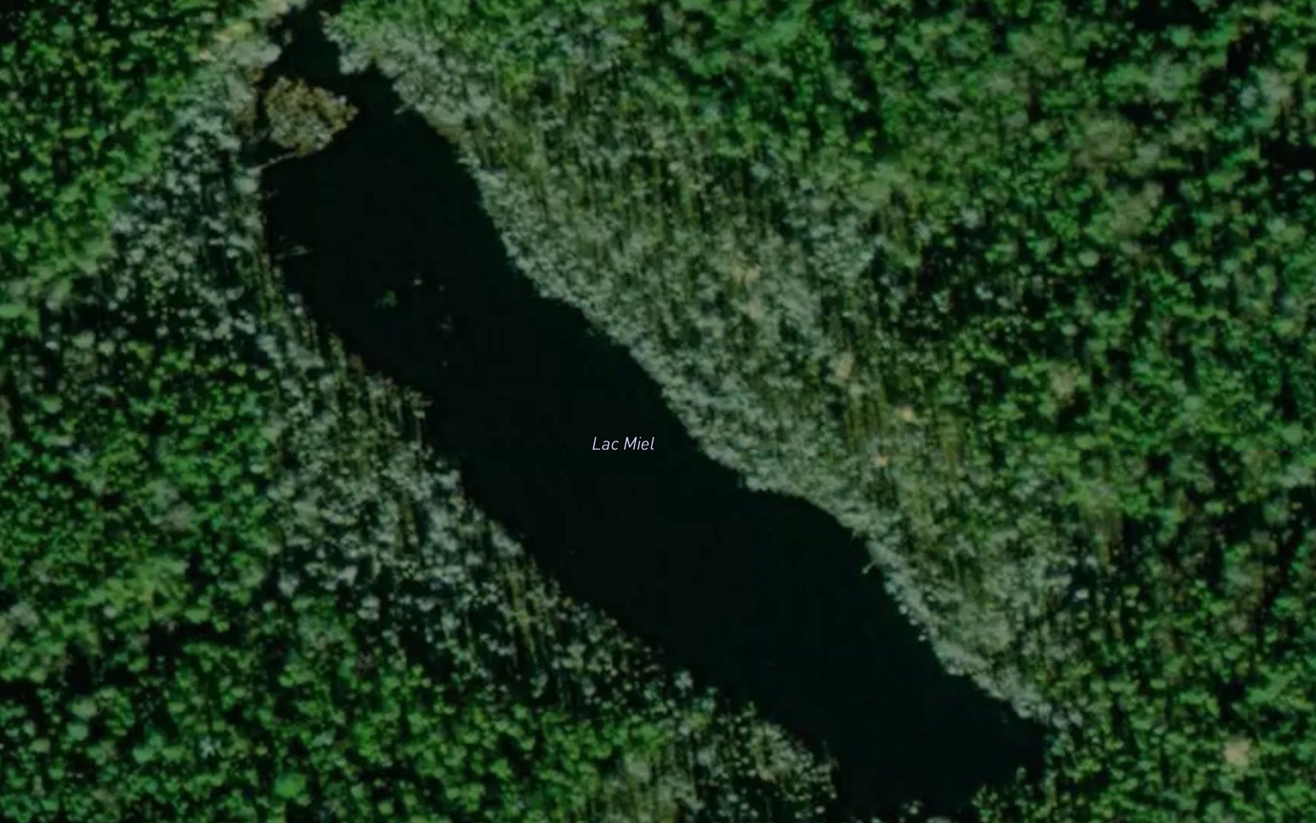 Lac Miel