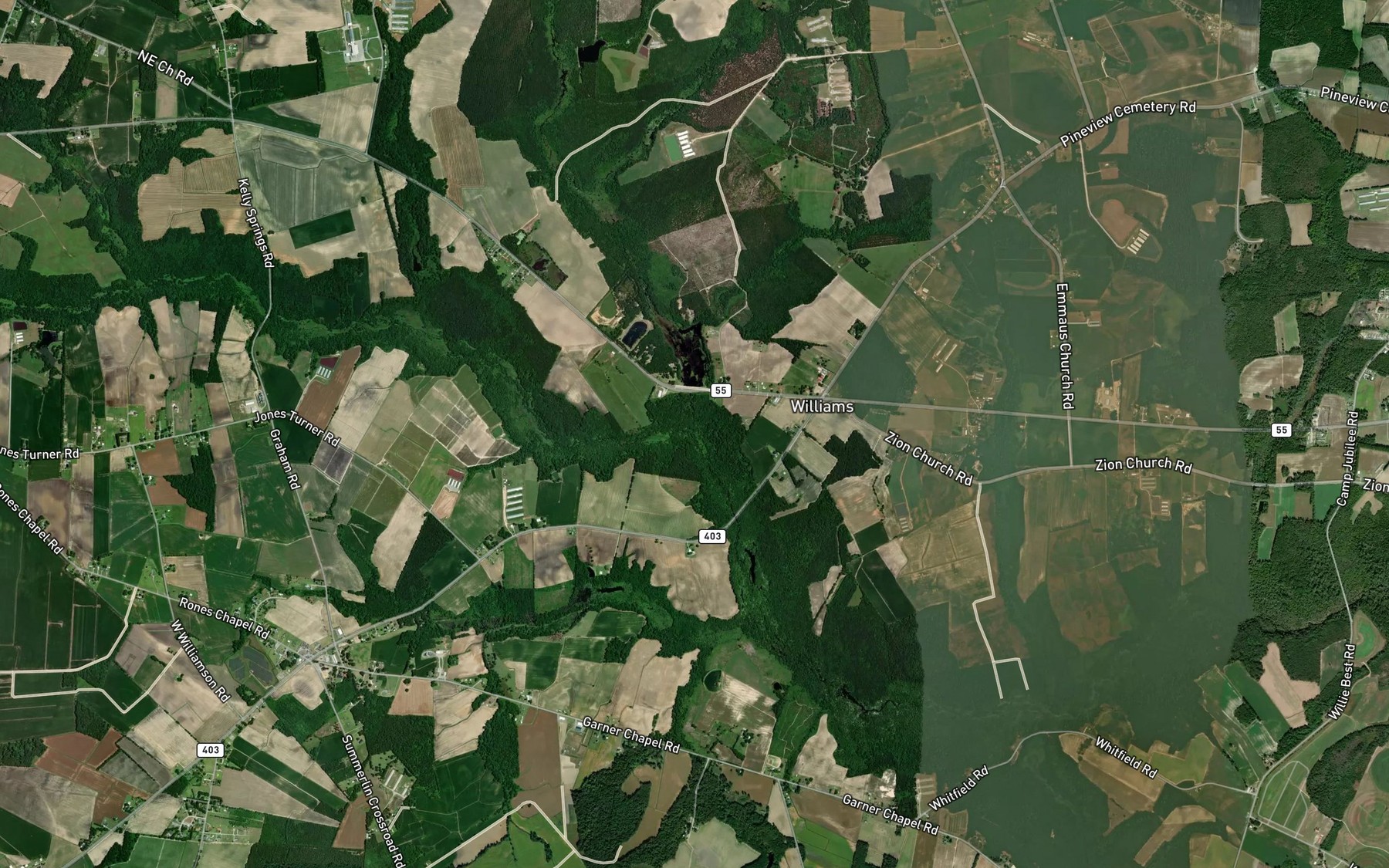 Satellite map of the Lewis Branch