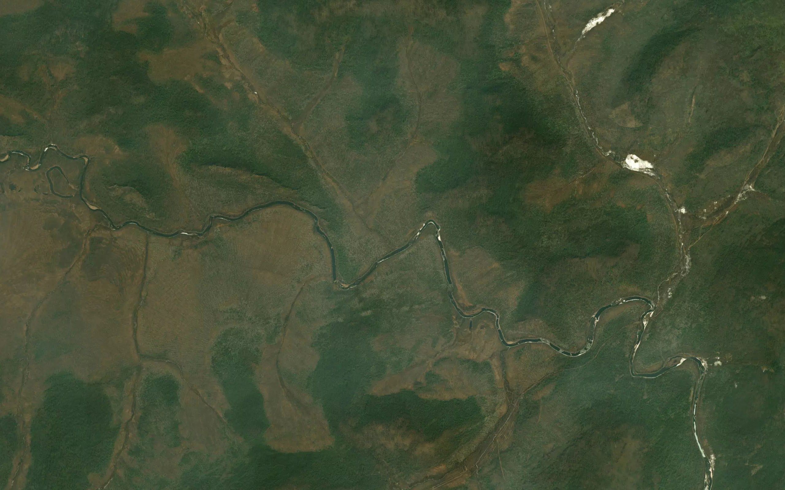 Tugodyak