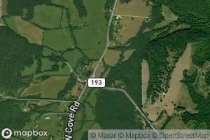 Left Fork Coulter Branch