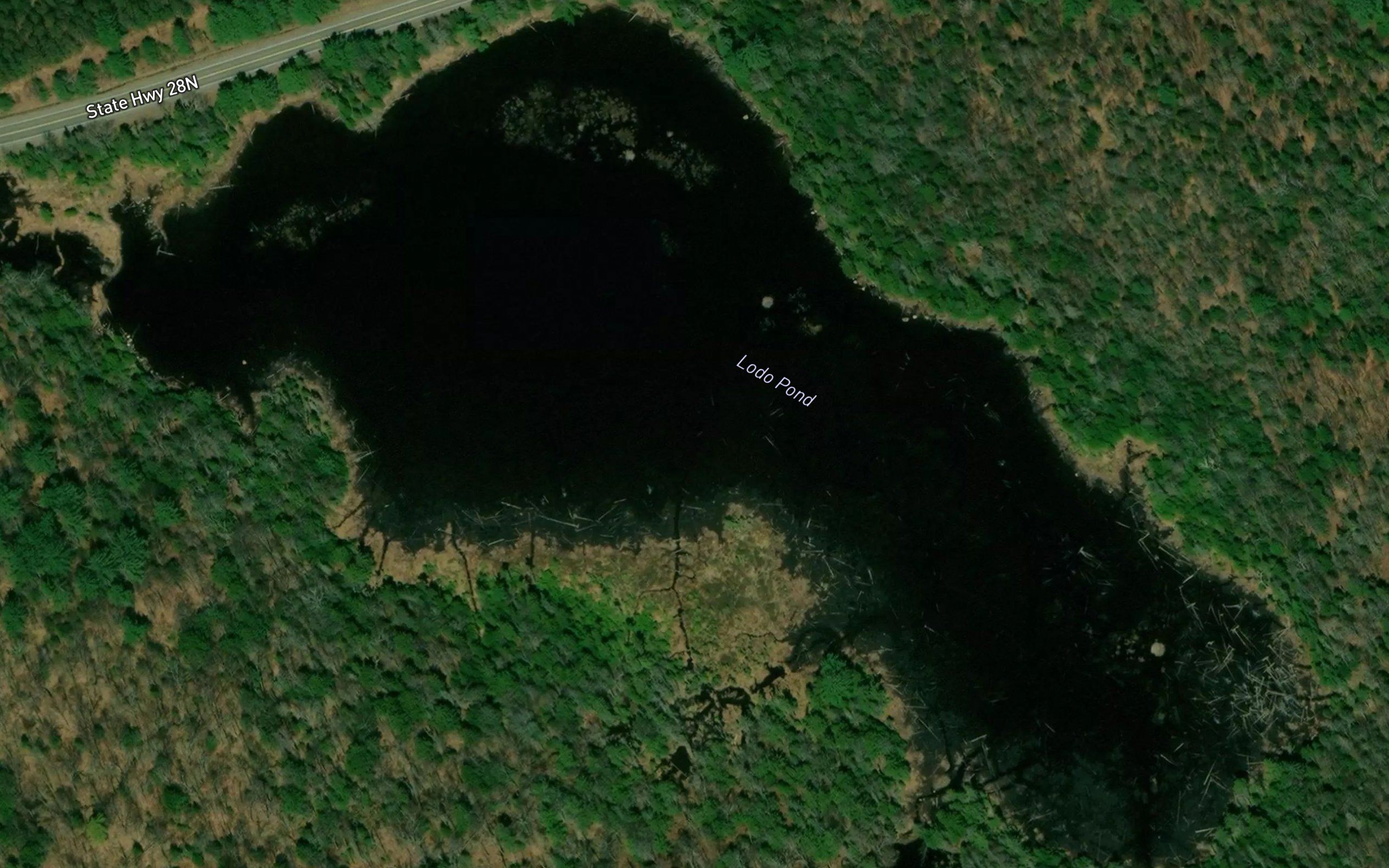 Lodo Pond