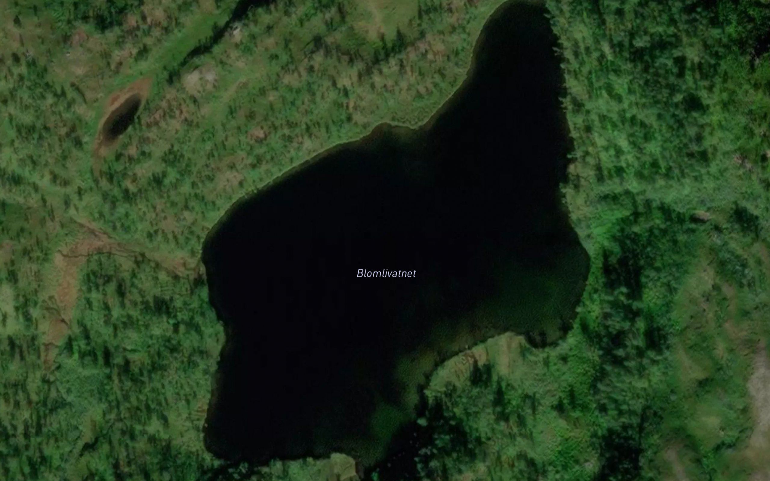 Blomlivatnet
