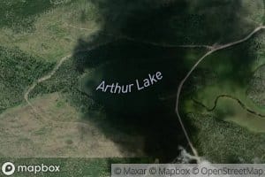 Arthur Lake