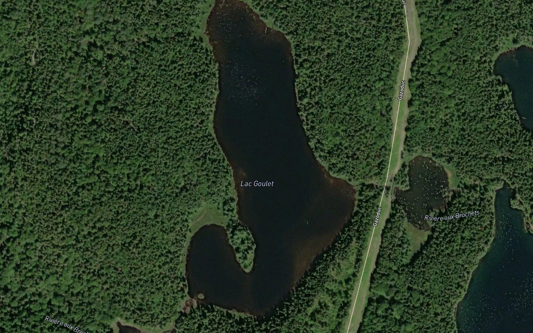 Satellite map of the Lac Goulet