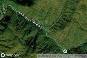 Tooni Branch