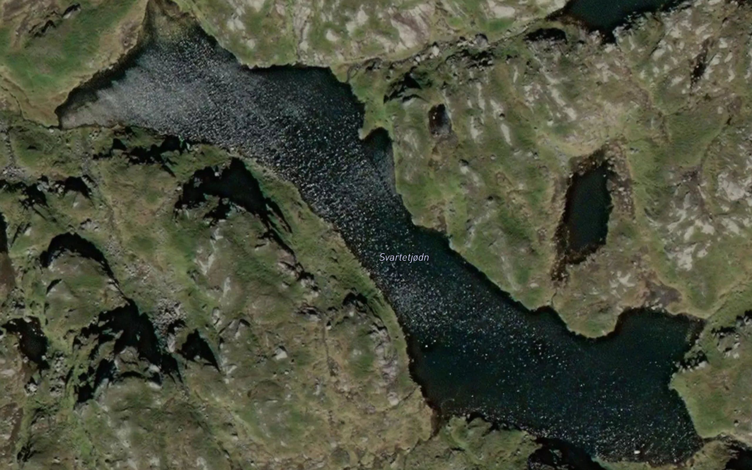 Svartetjorni