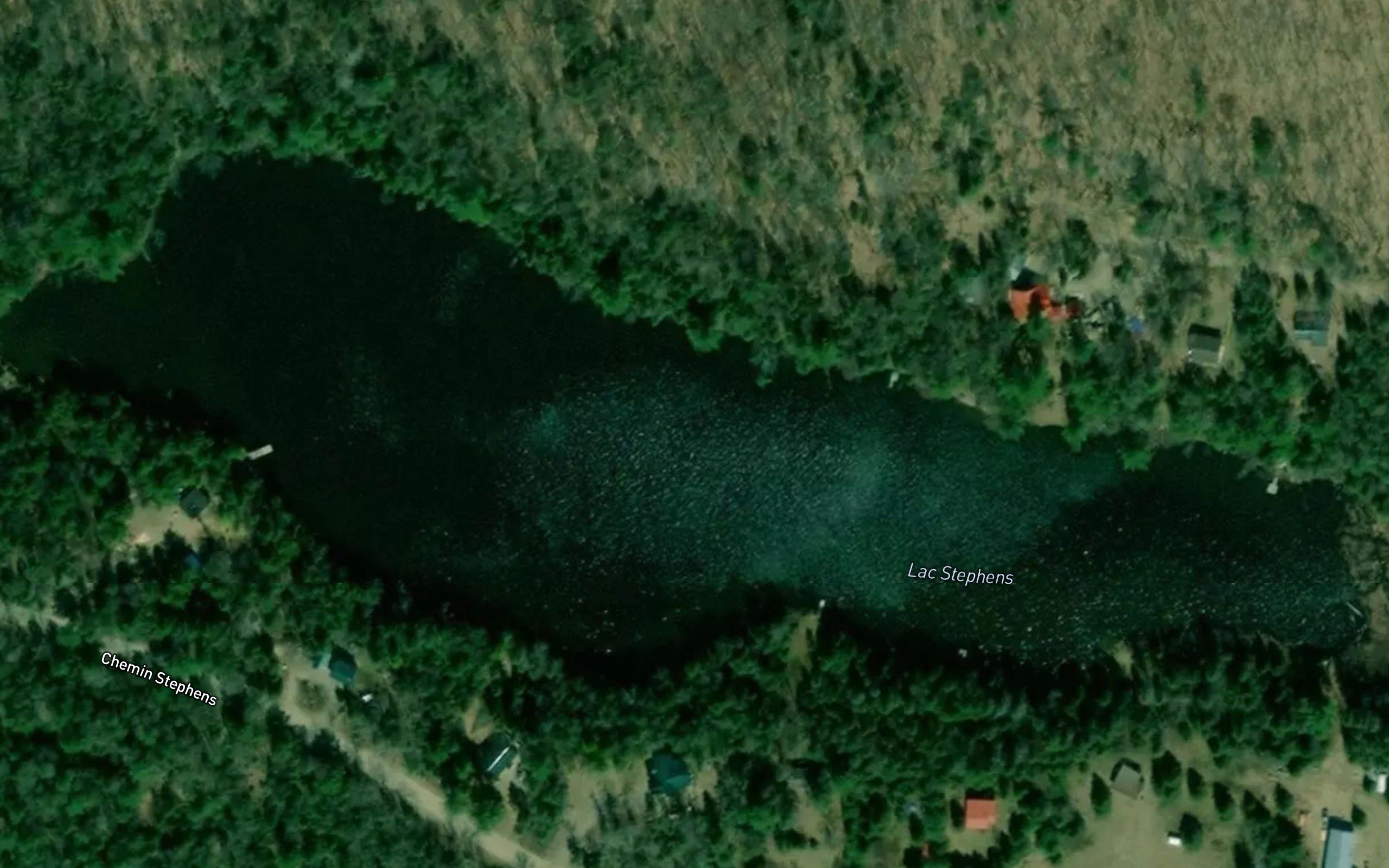 Lac Stephens